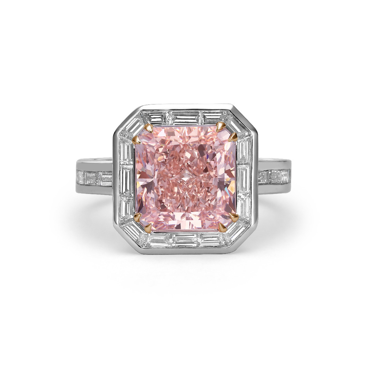 Rayonnante Rose Royale