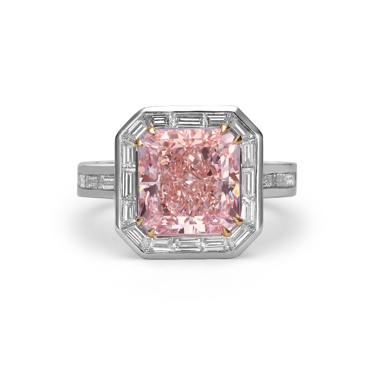 Rayonnante Rose Royale